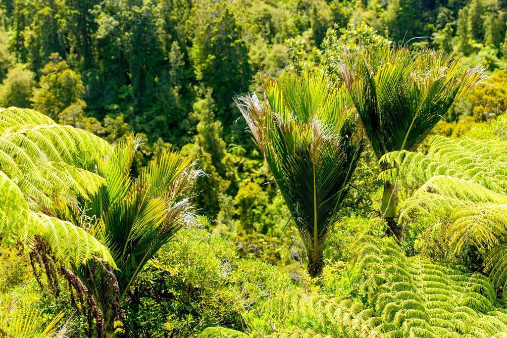Hotel Waitakere & Spa Auckland