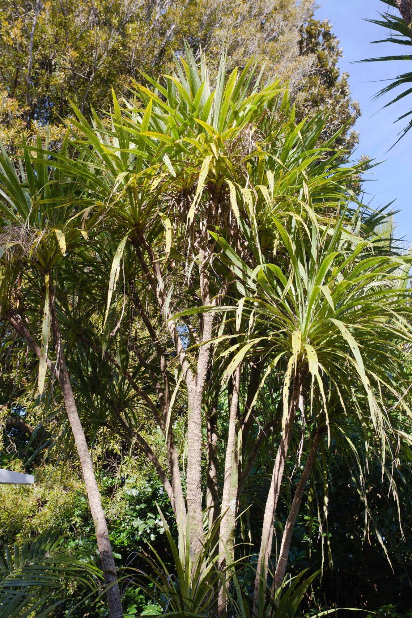 Hotel Waitakere & Spa Auckland