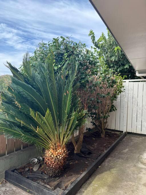 Sweet 9km To Airport Near New * Auckland