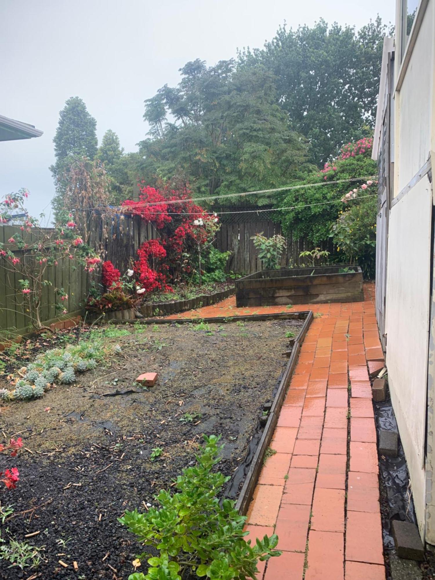 Single Auckland