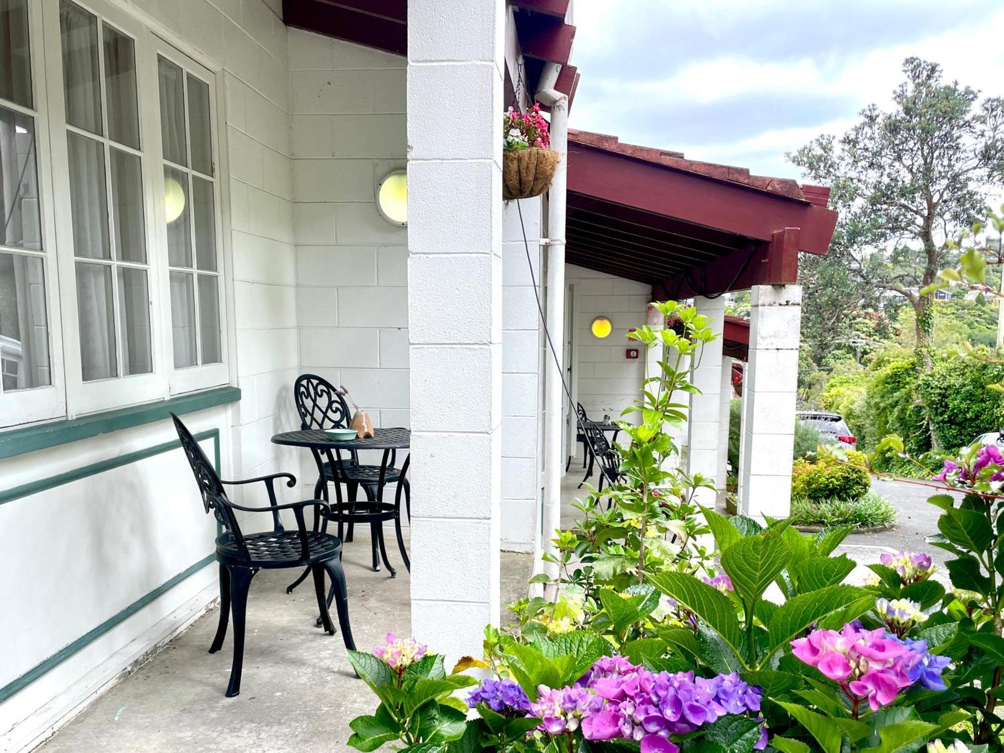 Browns Bay Olive Tree - Pet Friendly Family Hotel Auckland