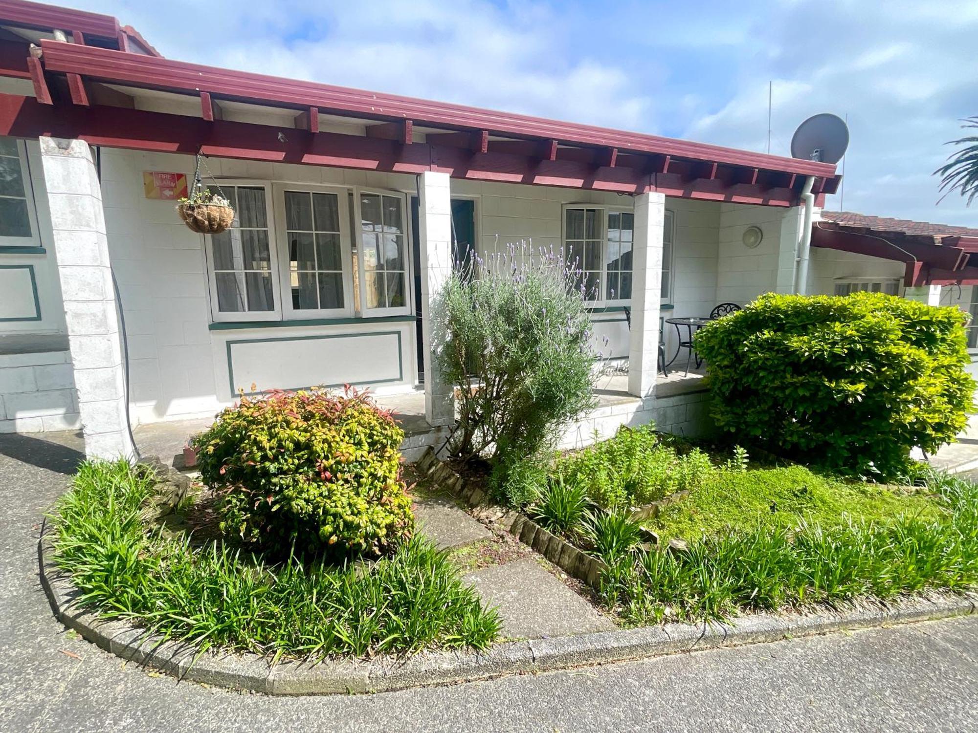 Browns Bay Olive Tree - Pet Friendly Family Hotel *