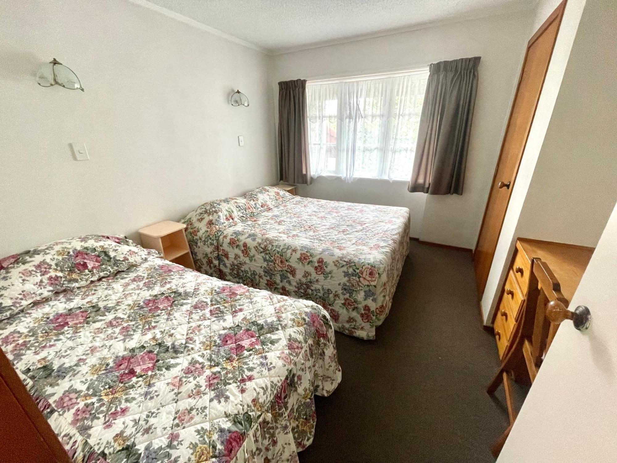 Browns Bay Olive Tree - Pet Friendly Family Auckland