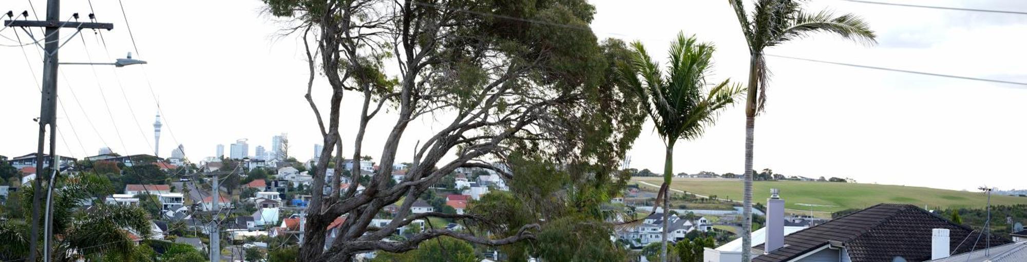 Holiday home Sunny Auckland