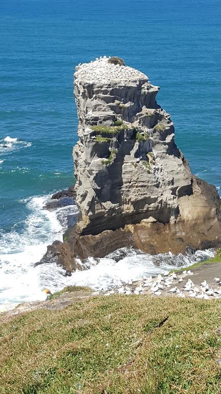 The Lighthouse Auckland