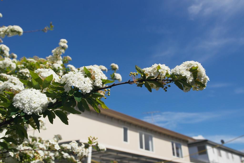 Albany Homestay Homestay Auckland