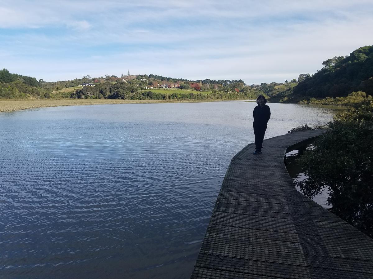 New Smart Nearby Plaza Homestay Auckland