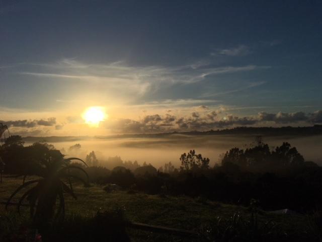 Sunrise View *