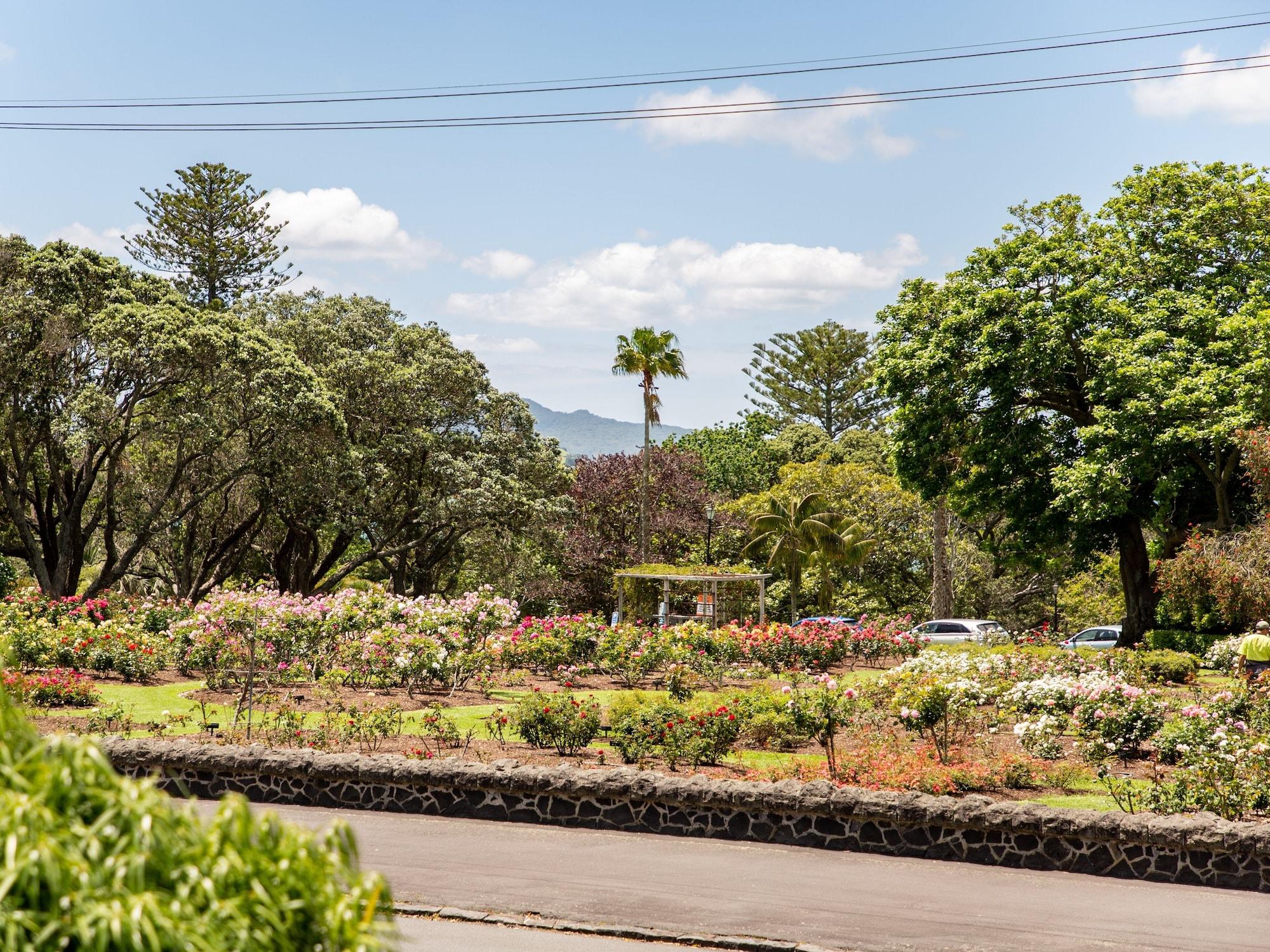 Rose Park Auckland