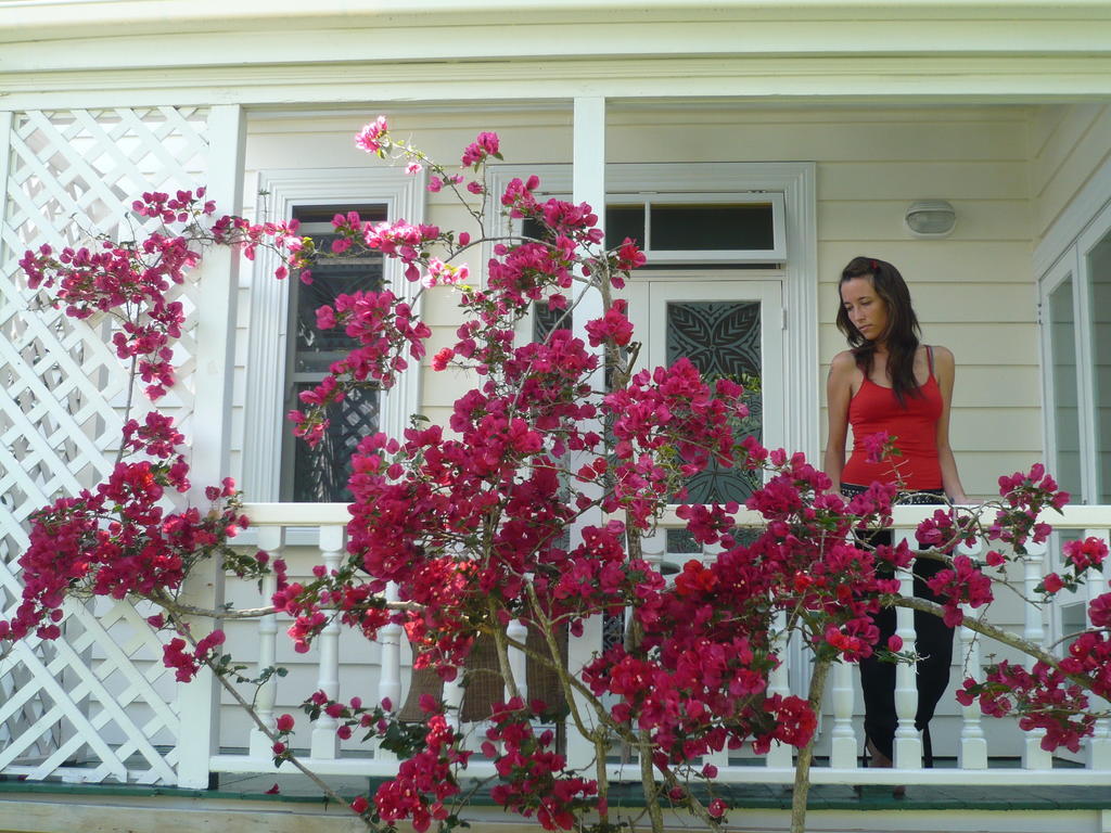 The Great Ponsonby Arthotel Bed & Breakfast